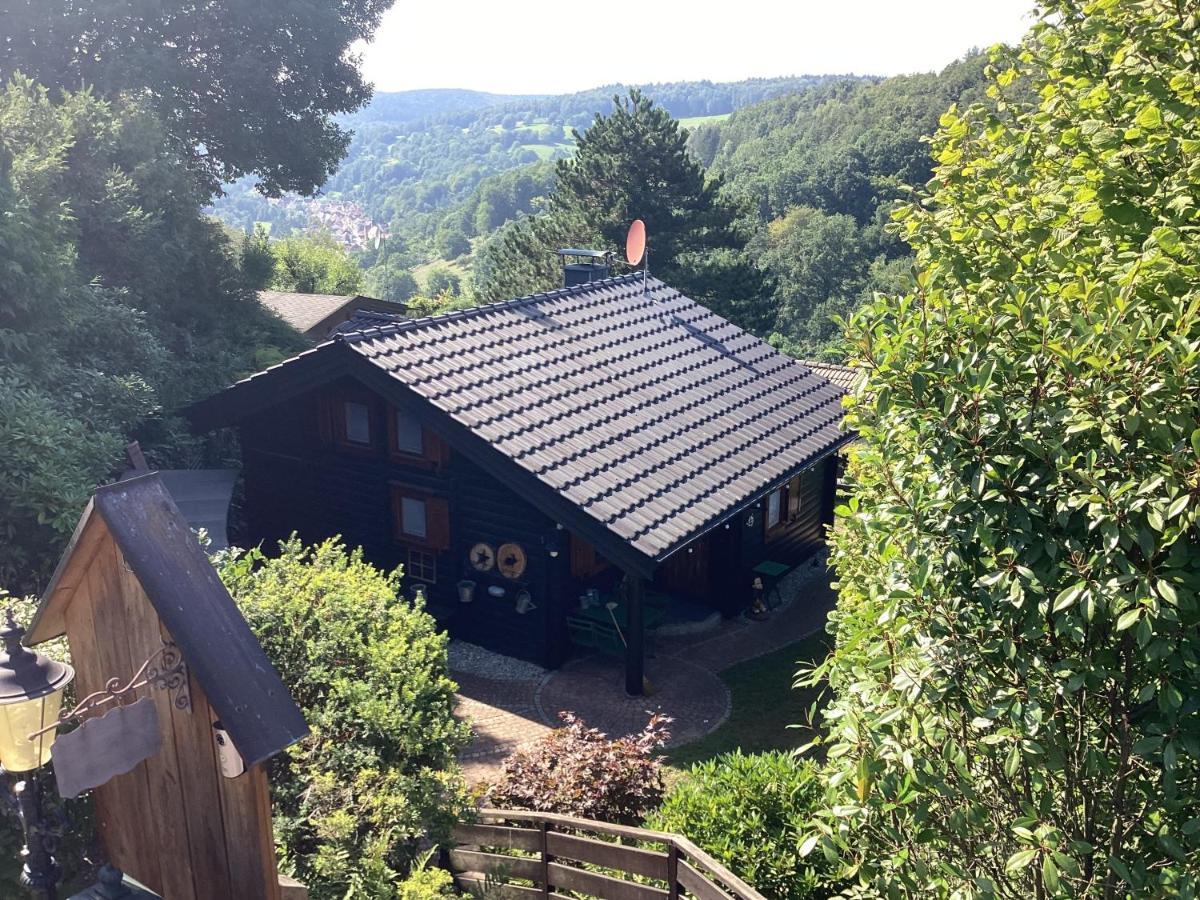 Chalet Spessart Dammbach Eksteriør billede