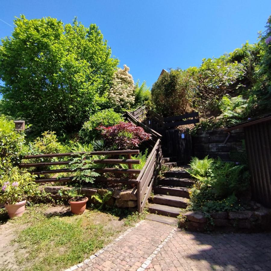 Chalet Spessart Dammbach Eksteriør billede