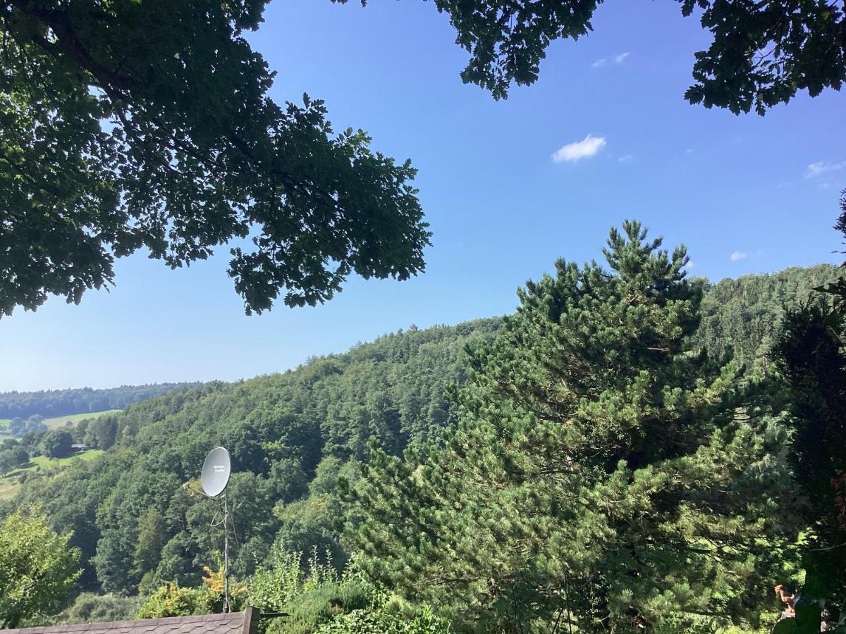 Chalet Spessart Dammbach Eksteriør billede