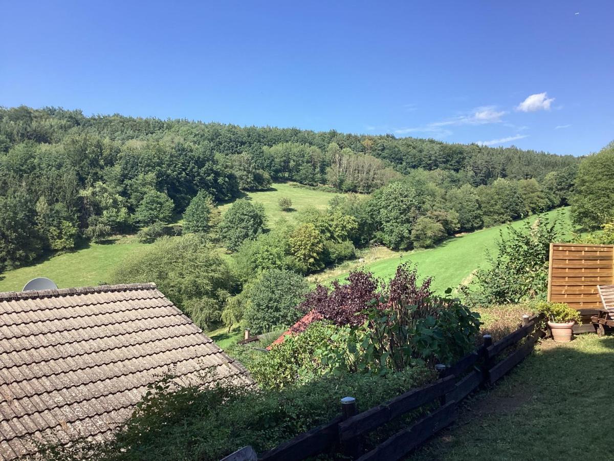 Chalet Spessart Dammbach Eksteriør billede