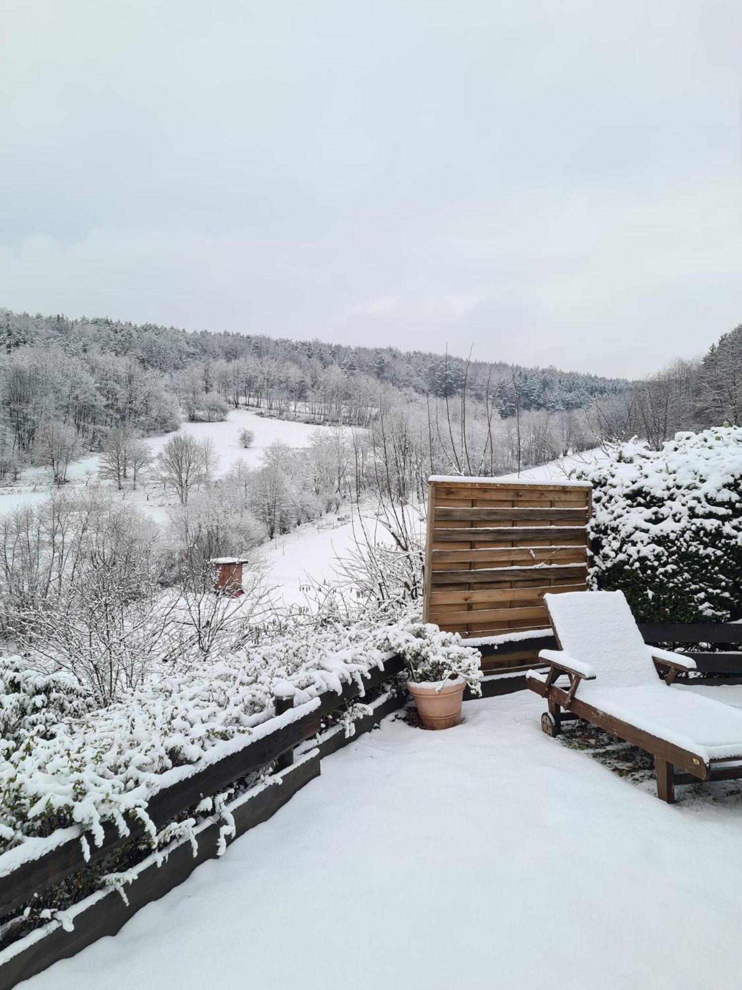Chalet Spessart Dammbach Eksteriør billede